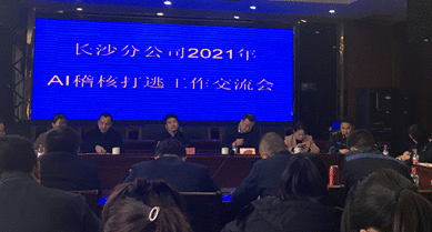 AI稽核加持，湖南高速精准打逃