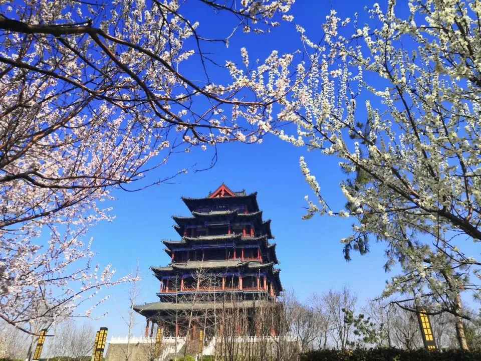 迁安“醉美水城·踏青赏花季”系列活动来啦！