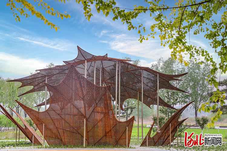 “遇见·正定”摄影大赛作品展播①延石生