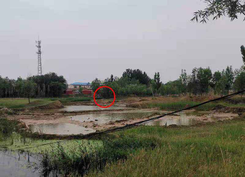 河北献县5名小学生溺亡事件调查：如何遏阻青少年意外死亡“第一杀手”