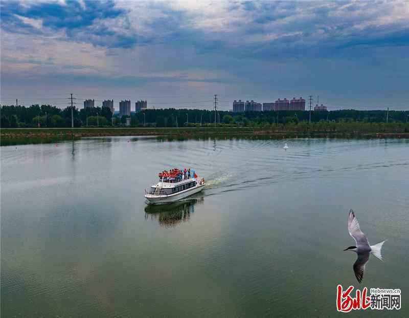影像记录｜一水连通京津冀 北运河廊坊段旅游通航