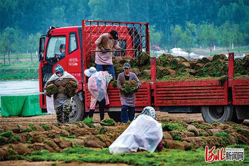 影像记录｜一水连通京津冀 北运河廊坊段旅游通航