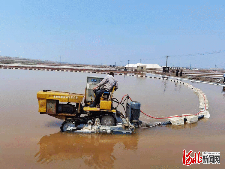 引领发展 提升竞争力 河北发布《食用海盐Edible sea salt》团体标准