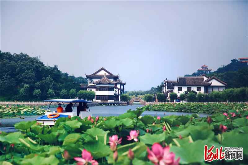 荷花汉服文化节在秦皇岛南戴河国际娱乐中心中华荷园精彩上演